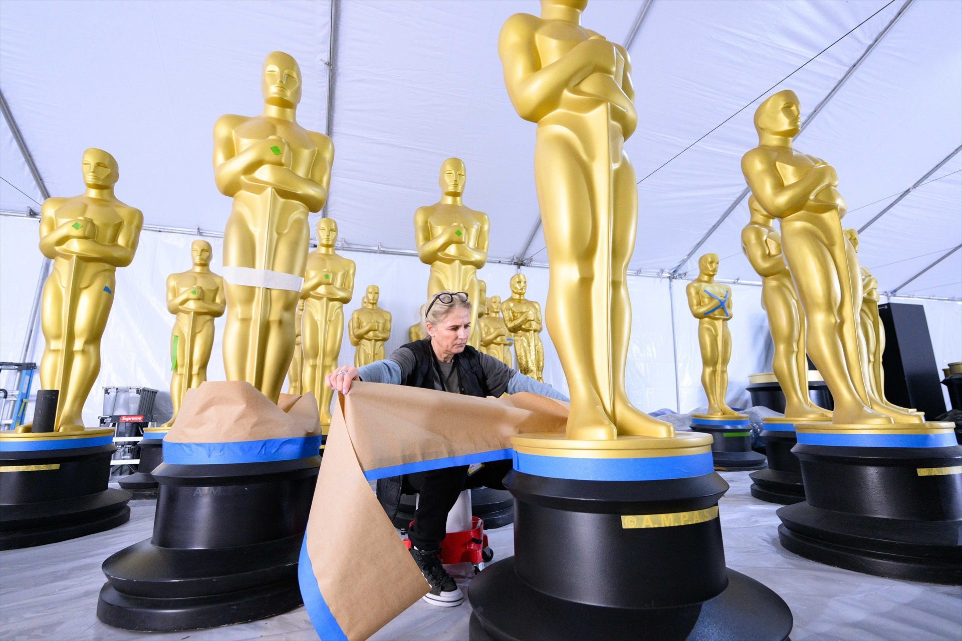 La insurrección que necesita la alfombra roja de los Oscar, Premios Oscar, Cine