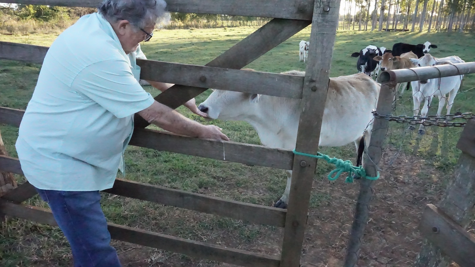 El Imperio Agrícola De Brasil: La Granja Del Mundo Y Los Controles  Biológicos De Lo Que Comemos | Crónica Libre